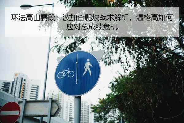 环法高山赛段：波加查爬坡战术解析，温格高如何应对总成绩危机
