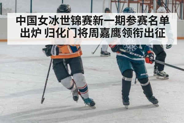 ice hockey match