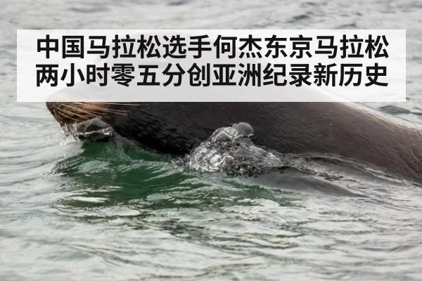 中国马拉松选手何杰东京马拉松两小时零五分创亚洲纪录新历史